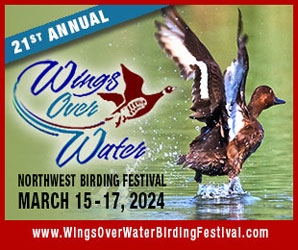 Wings Over Water Birding Festival